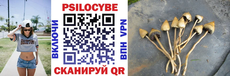 Галлюциногенные грибы Psilocybine cubensis  Саранск 